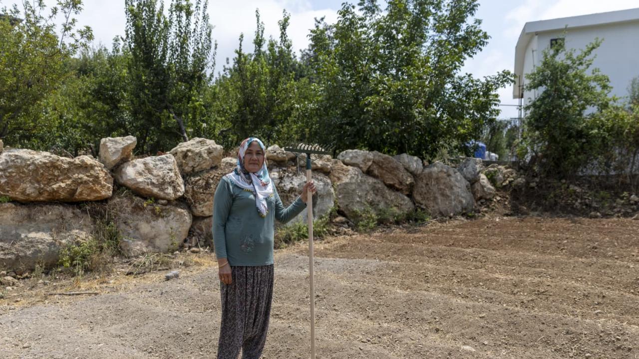 Yenişehir Belediyesinin desteğiyle safran üreticisi sayısı artıyor