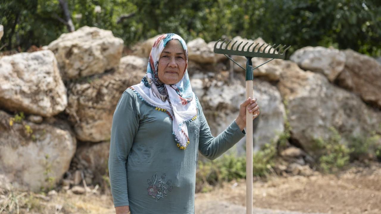 Yenişehir Belediyesinin desteğiyle safran üreticisi sayısı artıyor