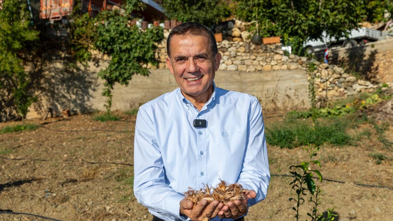 Yenişehir Belediyesinin hibe ettiği safran soğanları toprakla buluştu