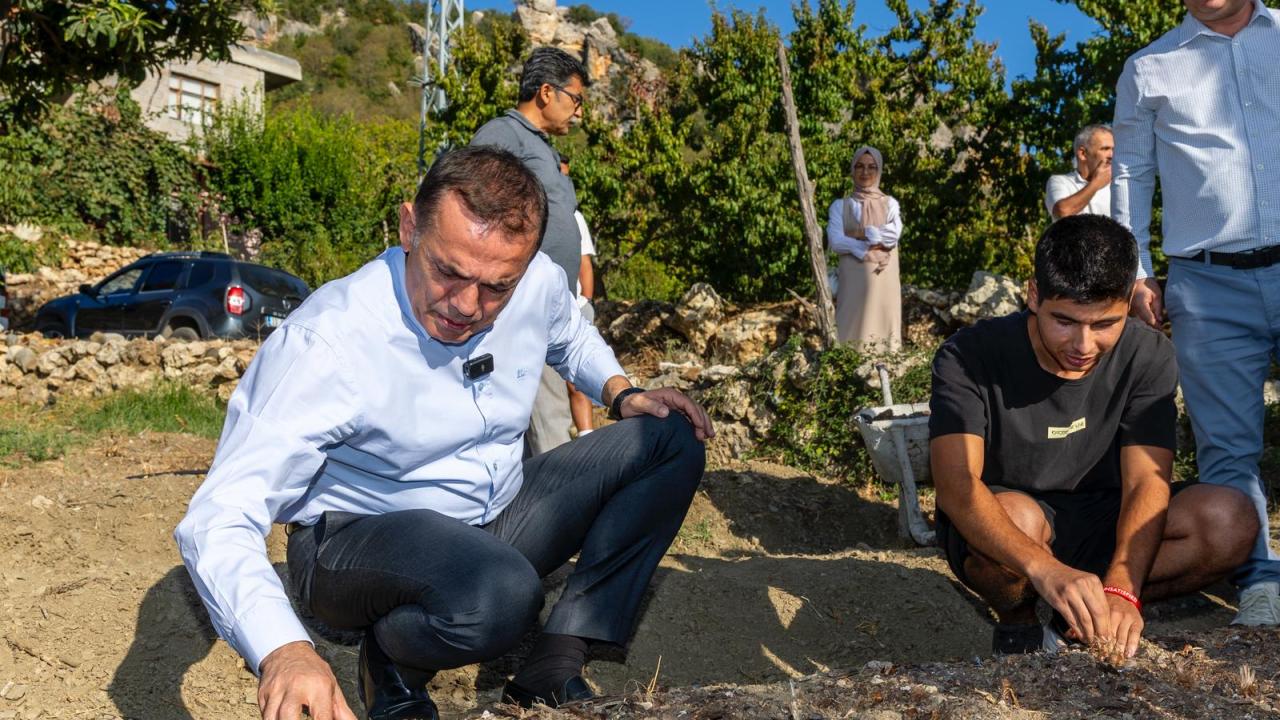 Yenişehir Belediyesinin hibe ettiği safran soğanları toprakla buluştu