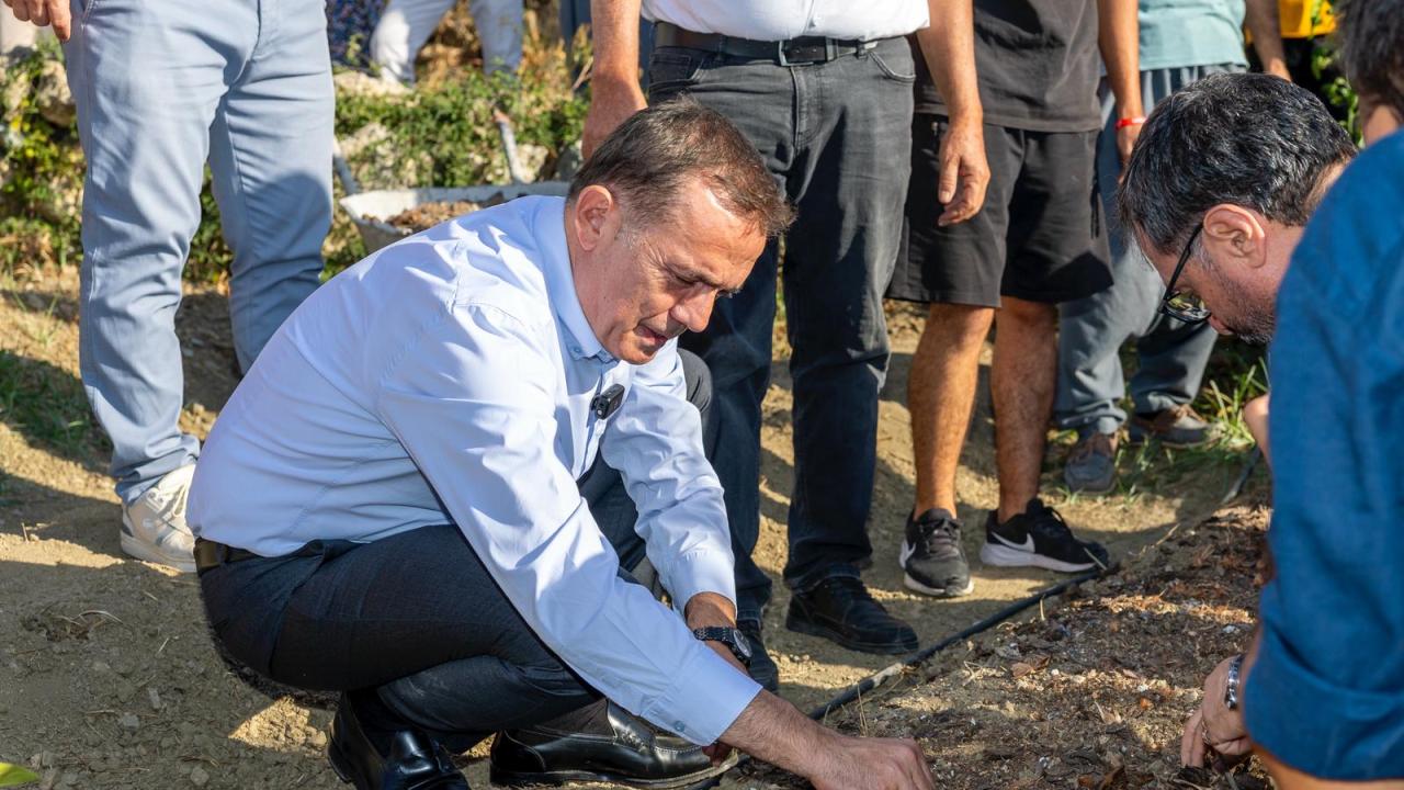 Yenişehir Belediyesinin hibe ettiği safran soğanları toprakla buluştu