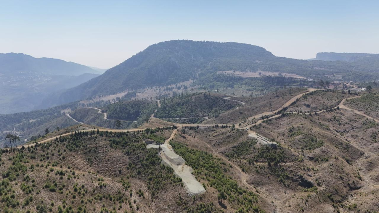 Yenişehir Belediyesi arı merası kuran Türkiye’deki ilk belediye oldu 