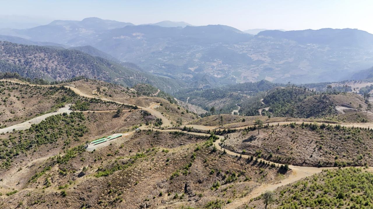 Yenişehir Belediyesi arı merası kuran Türkiye’deki ilk belediye oldu 