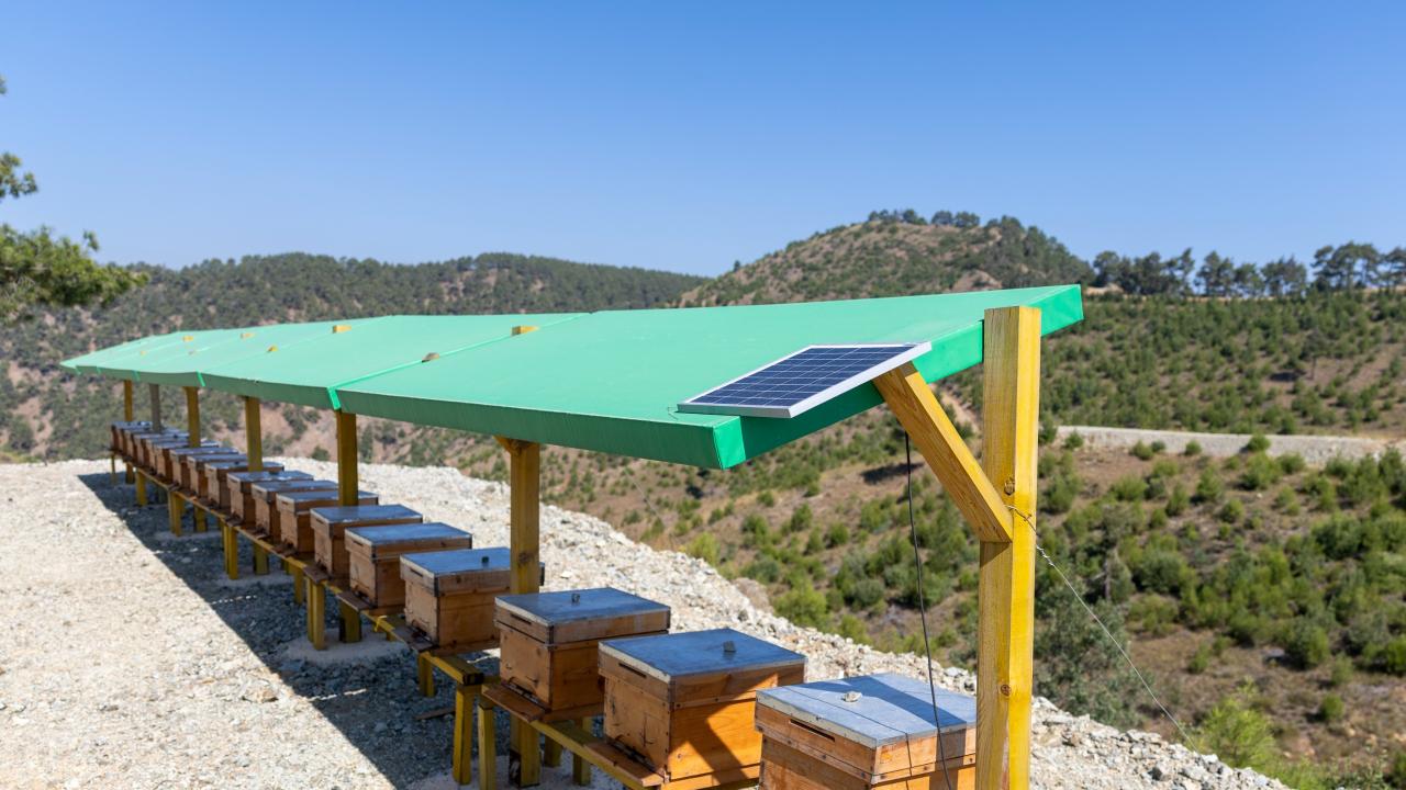 Yenişehir Belediyesi arı merası kuran Türkiye’deki ilk belediye oldu 