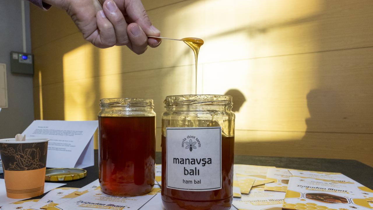 Yenişehir Belediyesi arı merası kuran Türkiye’deki ilk belediye oldu 