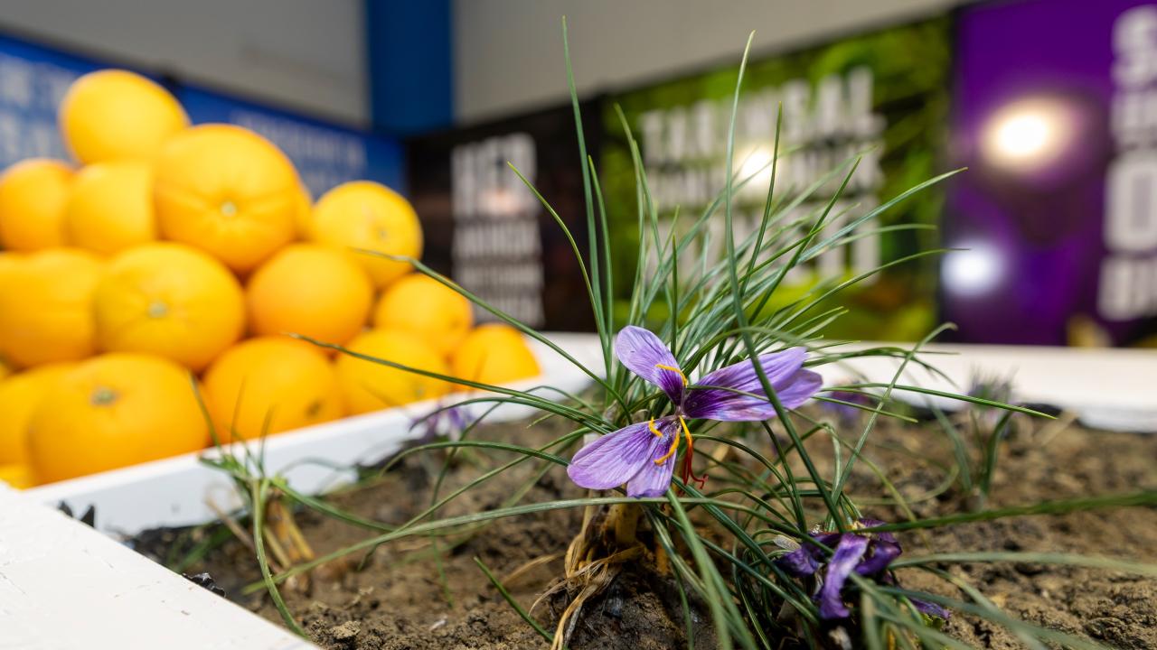 Başkan Özyiğit: Tarım Artık Gelecek Meselesi