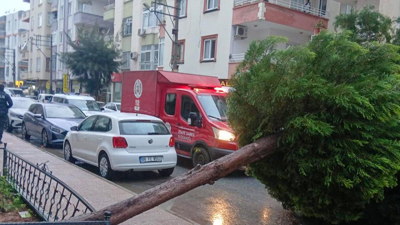 Başkan Özyiğit: "Sahadayız, vatandaşımızın yanındayız!"