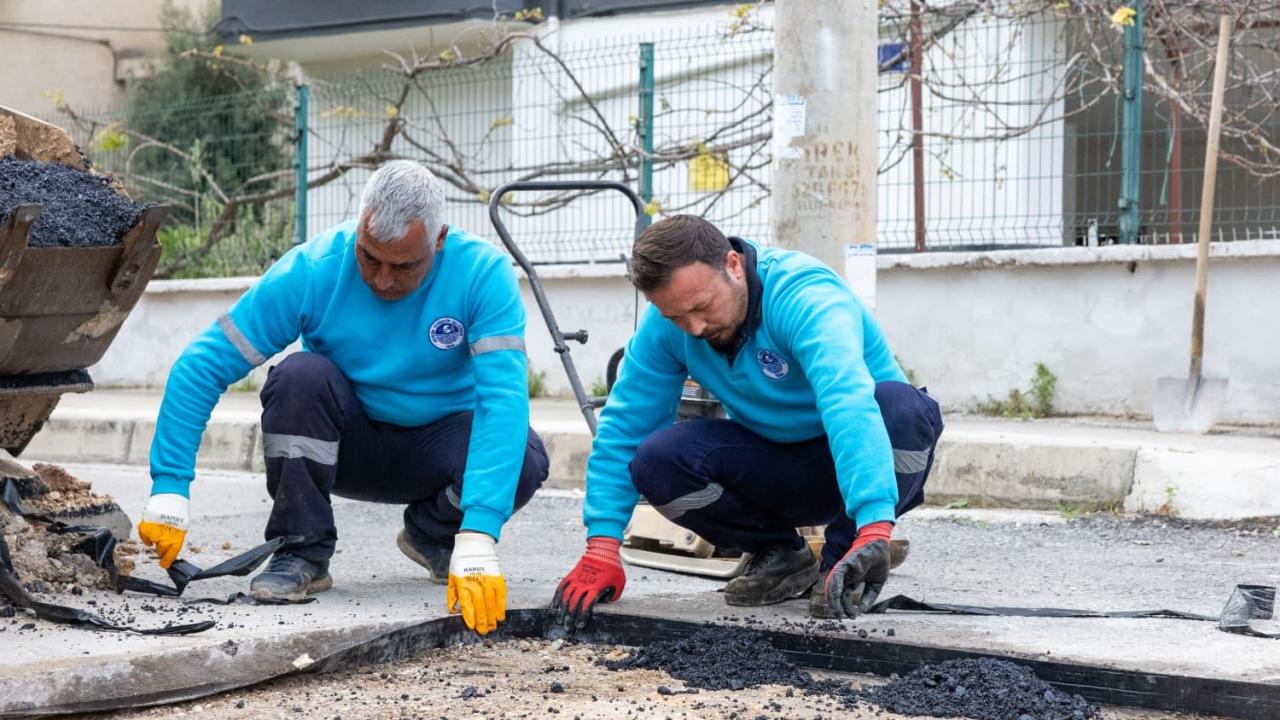 Yenişehir, Türkiye'ye yol gösteriyor