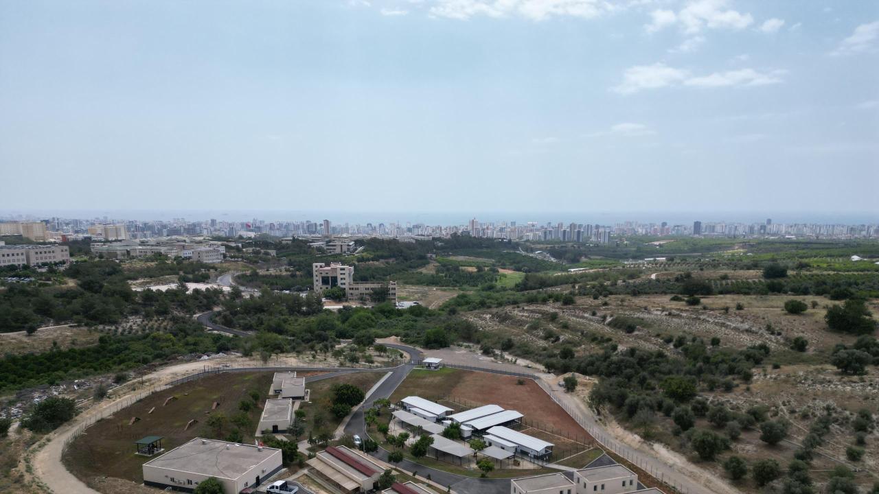 Yenişehir’de patili dostlara 5 yıldızlı hizmet