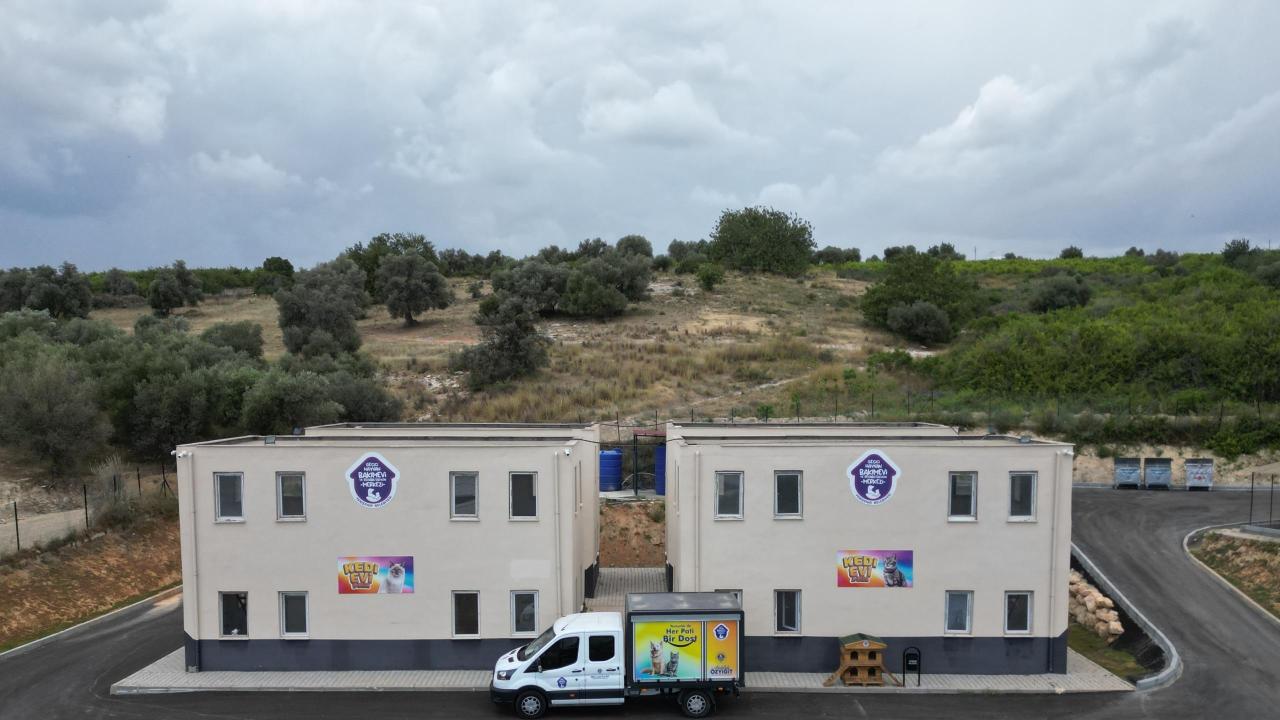 Yenişehir’de patili dostlara 5 yıldızlı hizmet