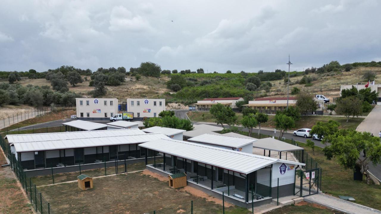 Yenişehir’de patili dostlara 5 yıldızlı hizmet