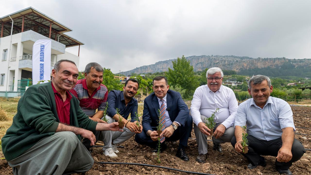 Yenişehir’de katma değerli tarım dönemi