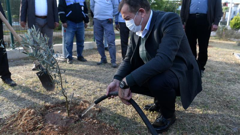 Yenişehir’deki okullarda 1000 zeytin fidanı toprakla buluştu