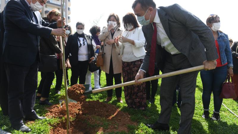 Mimozalar Yenişehir’de toprakla buluştu