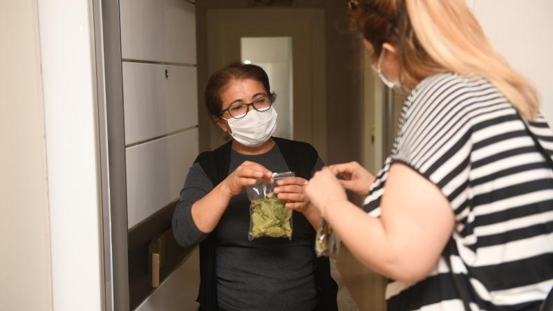 Defne yaprağı ev ekonomisine katkı sunacak