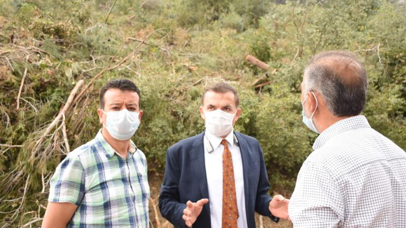 Başkan Özyiğit, ağaç kesimlerini yerinde inceledi