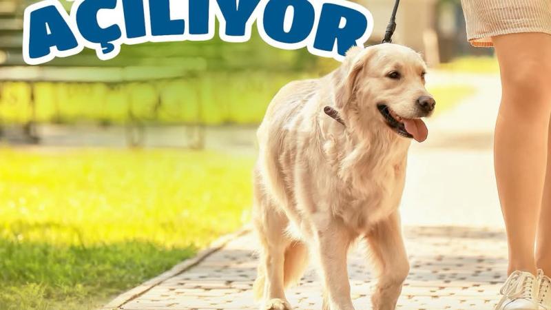 Köpek Gezinti Parkımız Açılıyor
