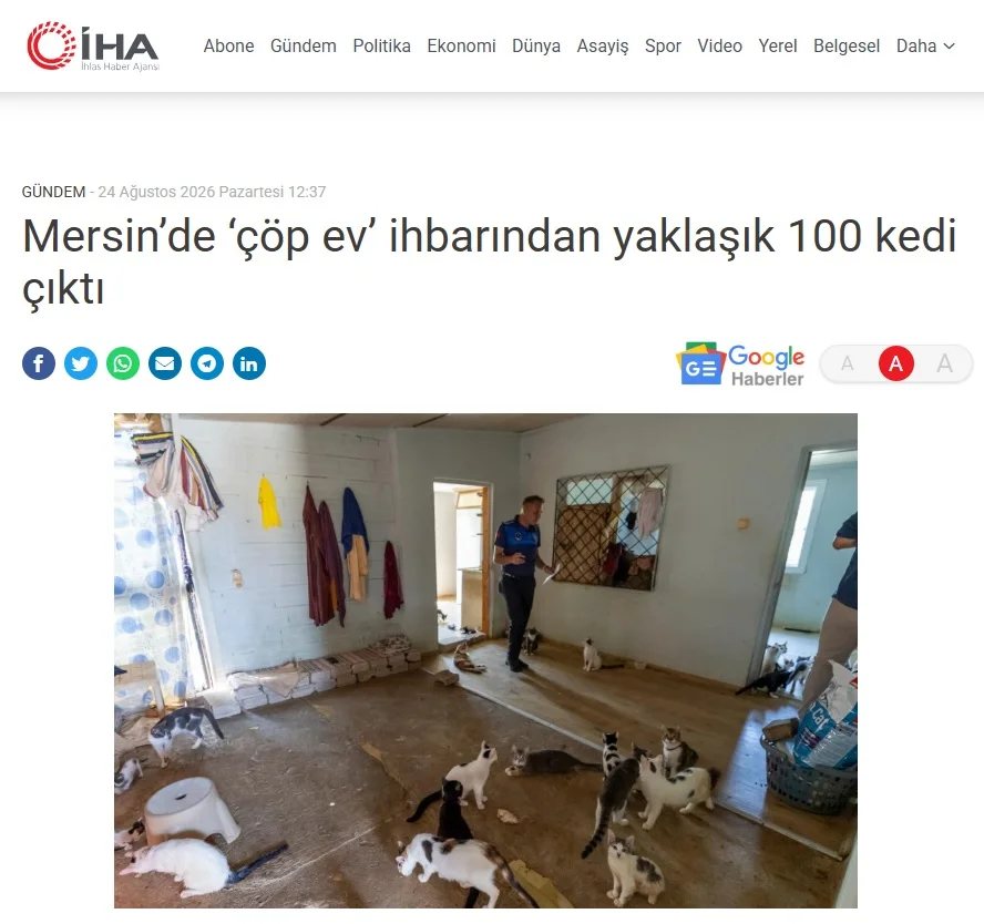 Basında Biz