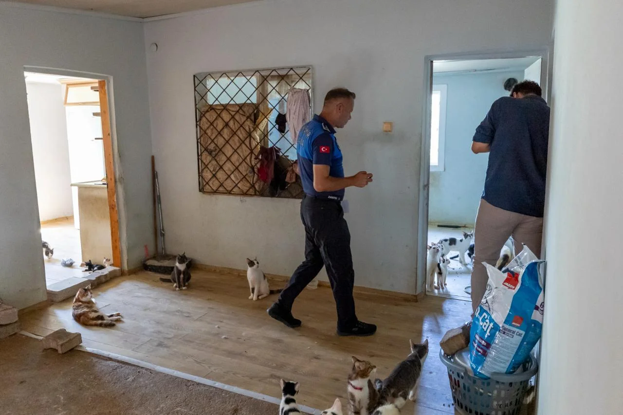 ‘Çöp Ev’ beklerken ‘Kedi Evi’ çıktı