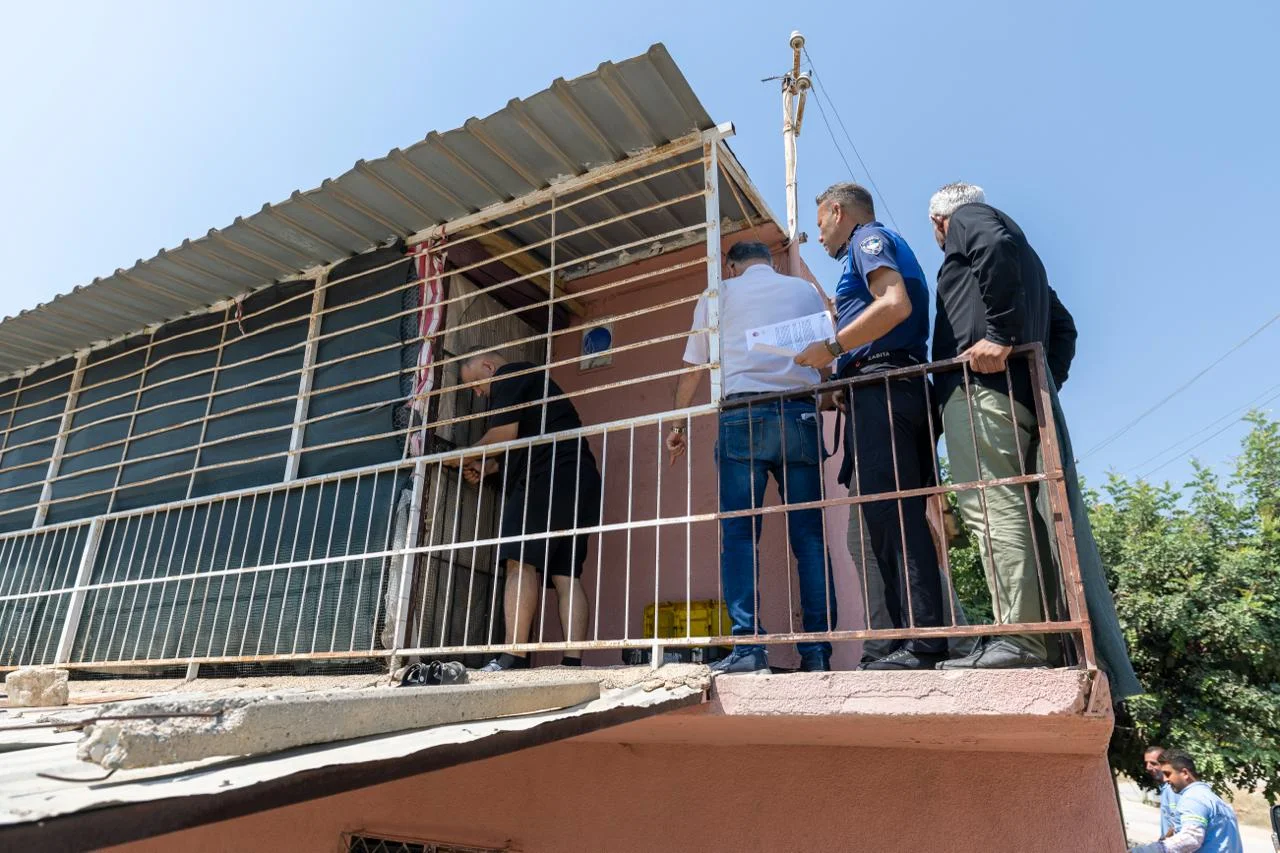 ‘Çöp Ev’ beklerken ‘Kedi Evi’ çıktı