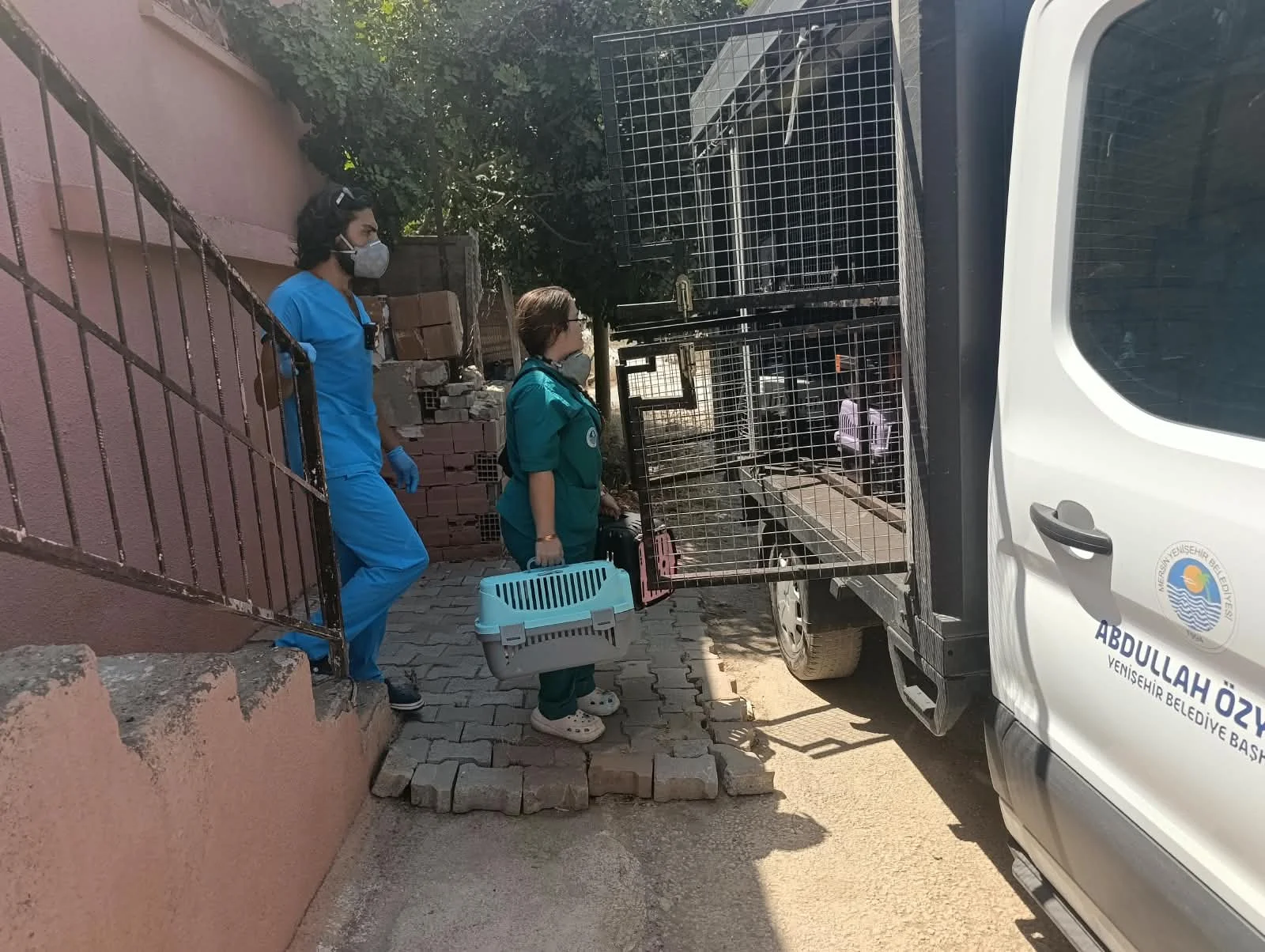 ‘Çöp Ev’ beklerken ‘Kedi Evi’ çıktı